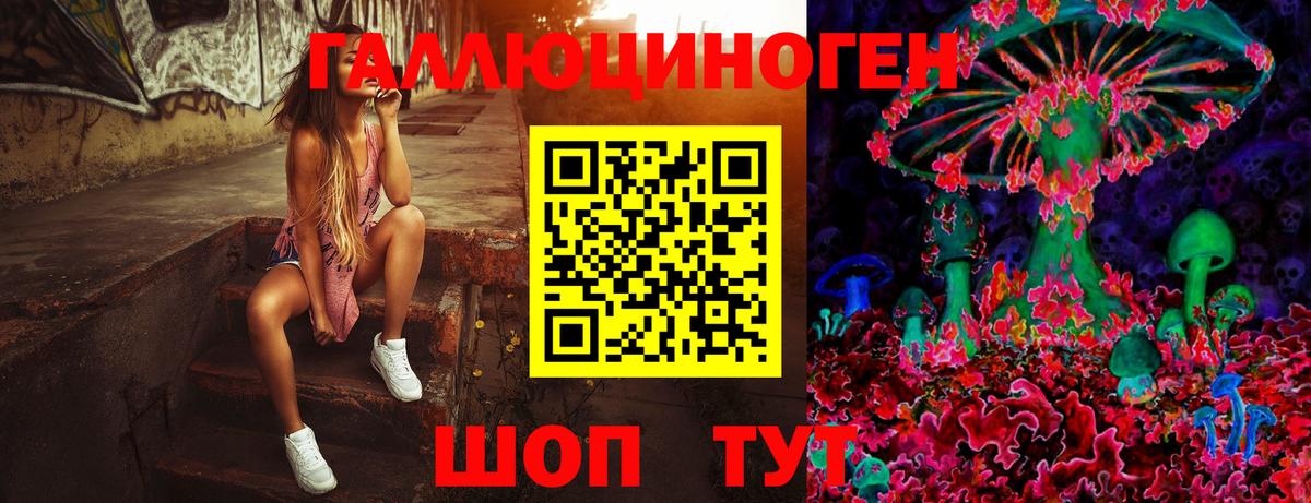 Владивосток  Галлюциногенные грибы прущие грибы  Вход с VPN  Псилоцибиновые грибы MAGIC MUSHROOMS 