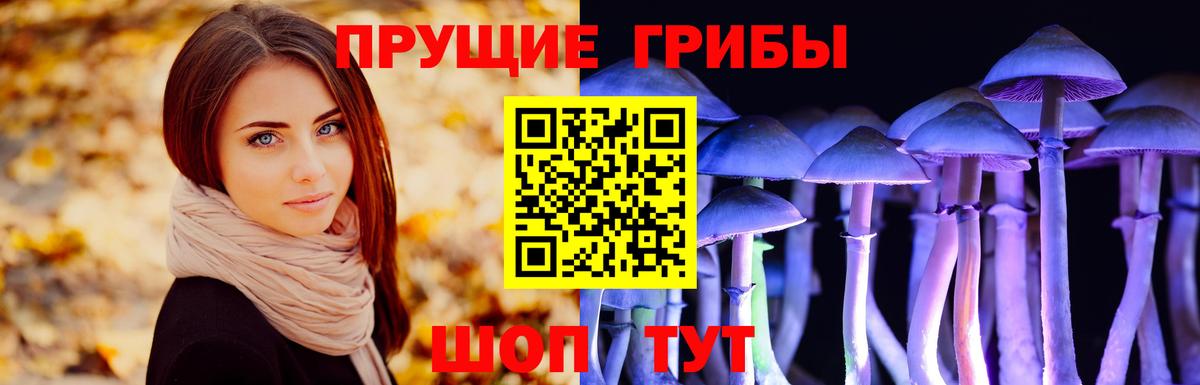 Псилоцибиновые грибы Magic Shrooms Владивосток
